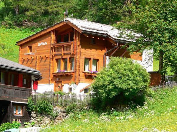 サース・アルマゲルHaus Alpenperleアパートメント エクステリア 写真